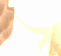 /agp/src/174439814684.mp4