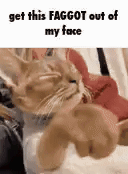 /y/src/174518490849.gif